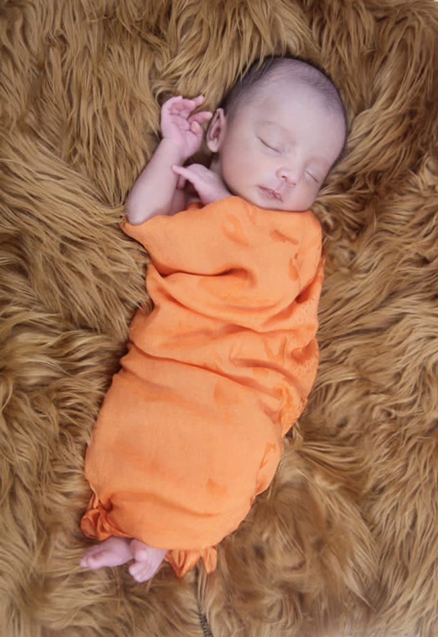 10858-gallery-1654685675.jpg