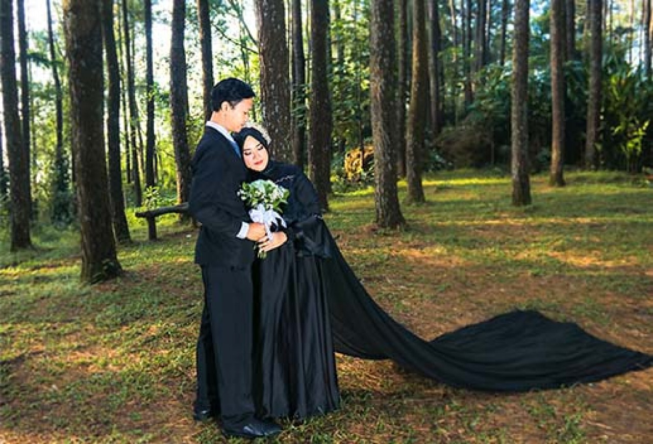 12443-gallery-1656677813.jpg