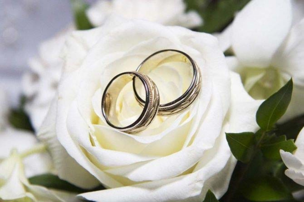 13669-gallery-1657176144.jpg