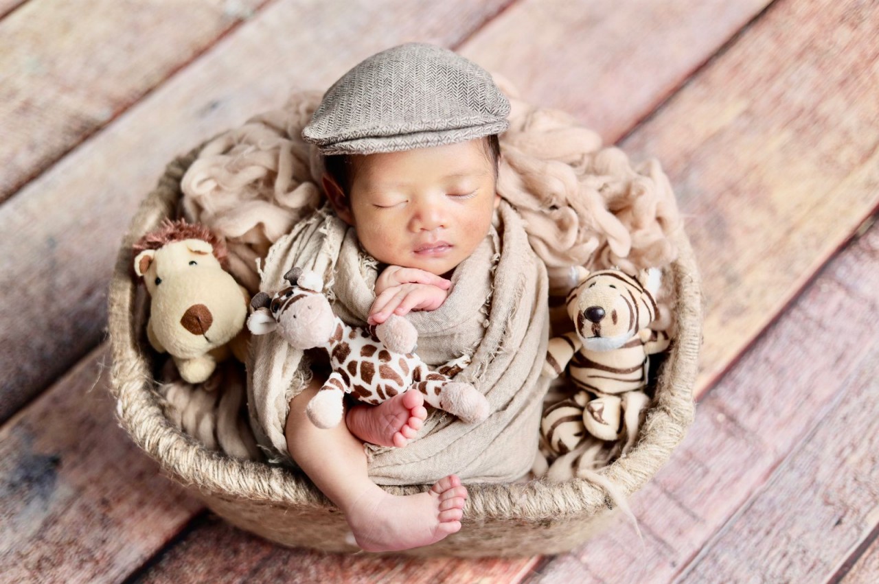 14733-gallery-1657695970.jpg