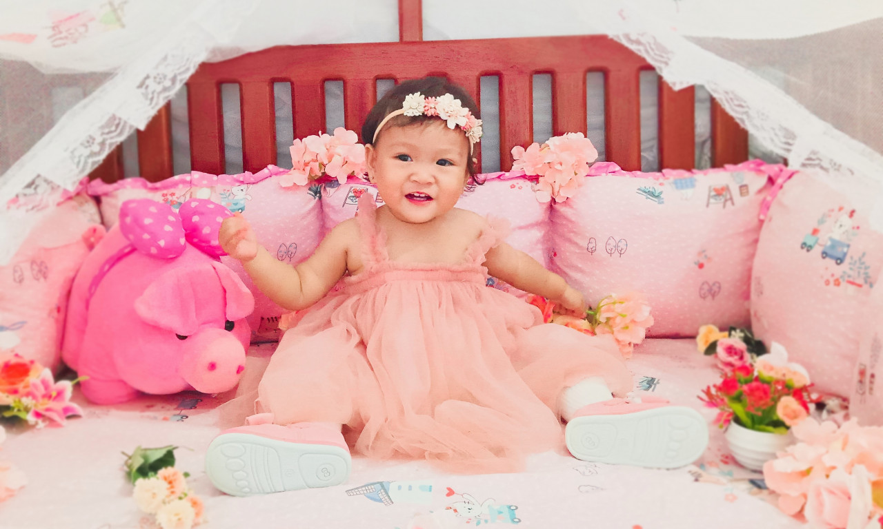 17462-gallery-1660575576.jpg