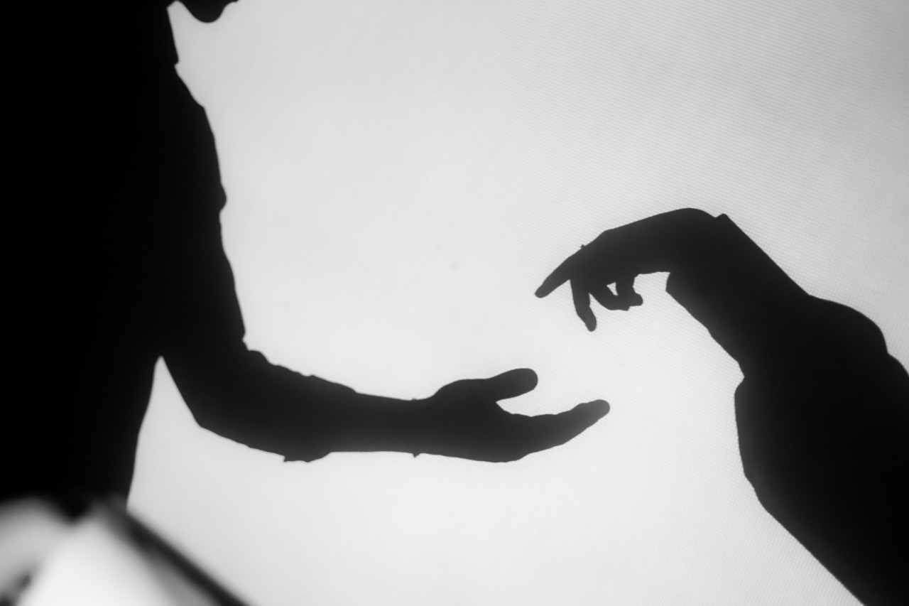 193621-gallery-1701348392.jpg