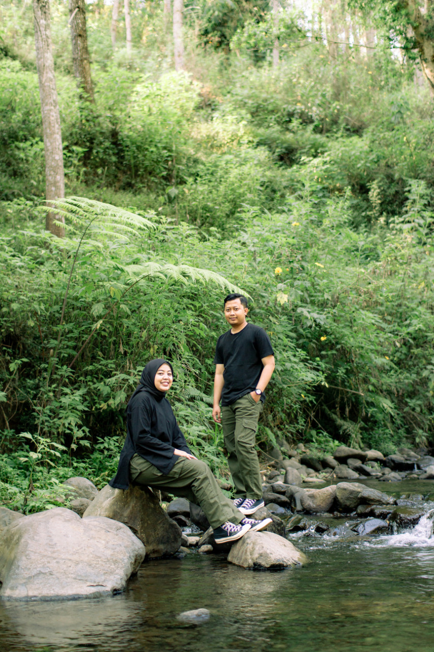 195070-gallery-1701433343.jpg