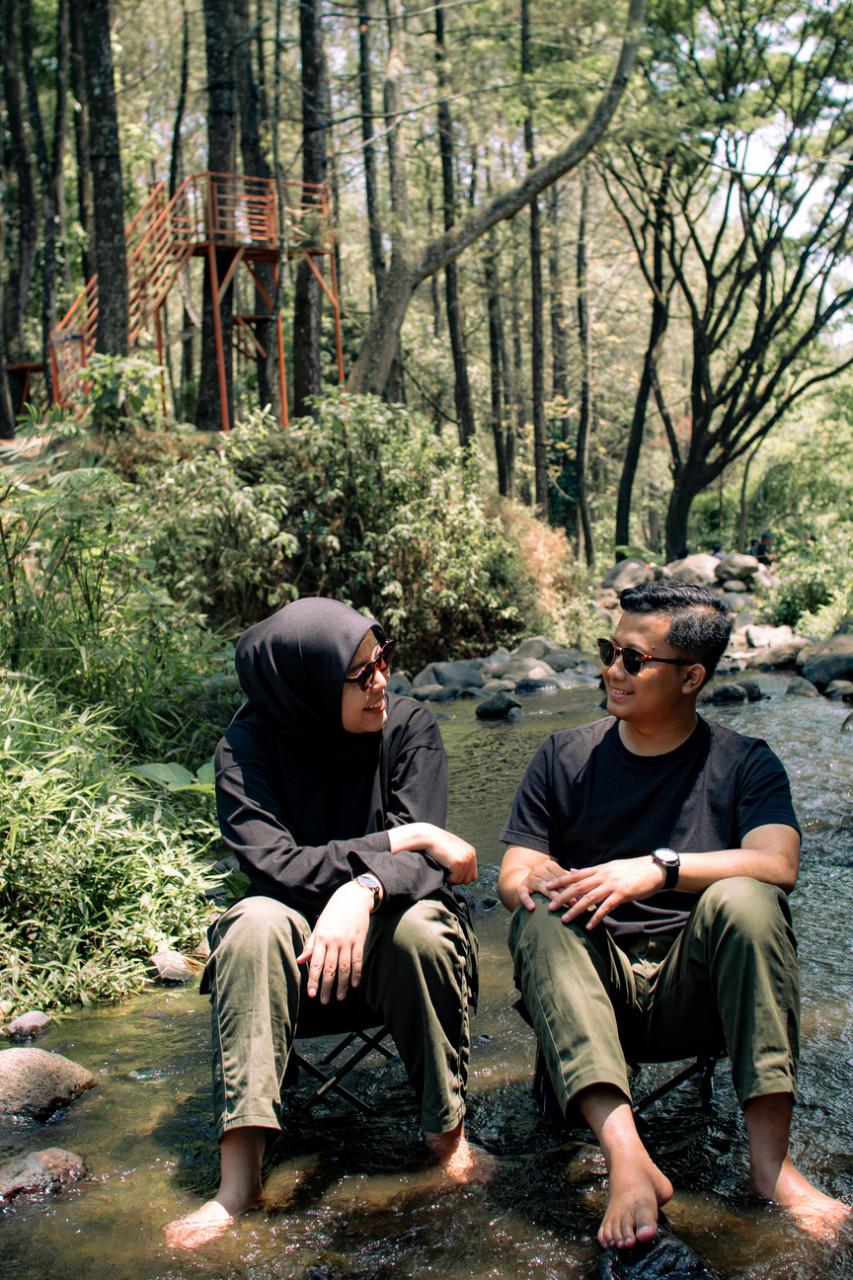195070-gallery-1701434137.jpg