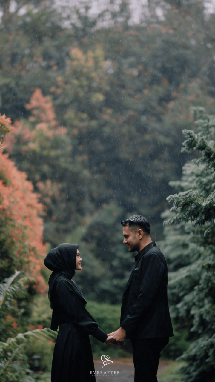 197507-gallery-1701741130.png
