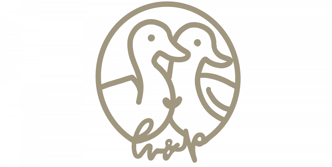 203355-gallery-1702512973.png