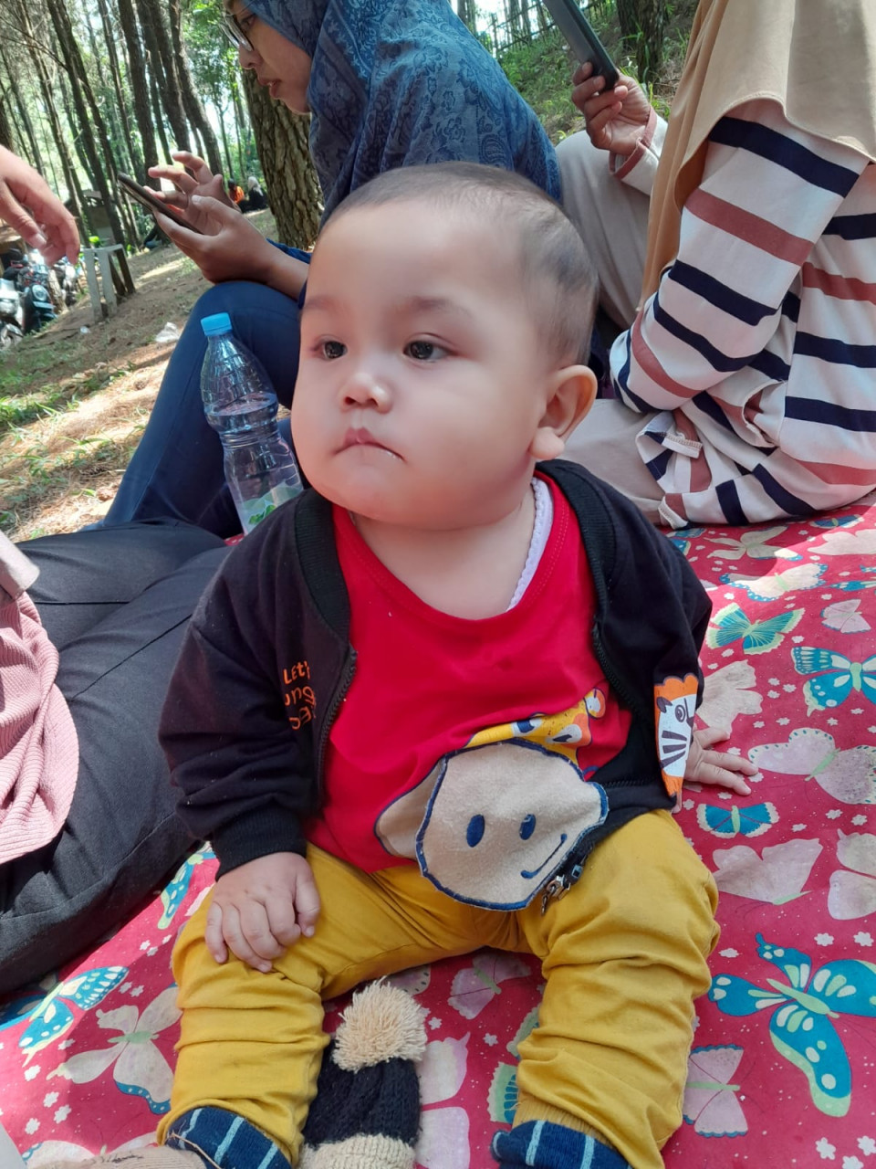 212682-gallery-1703994145.jpg