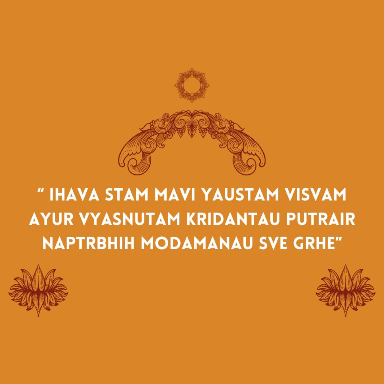 23063-gallery-1666753839.jpg