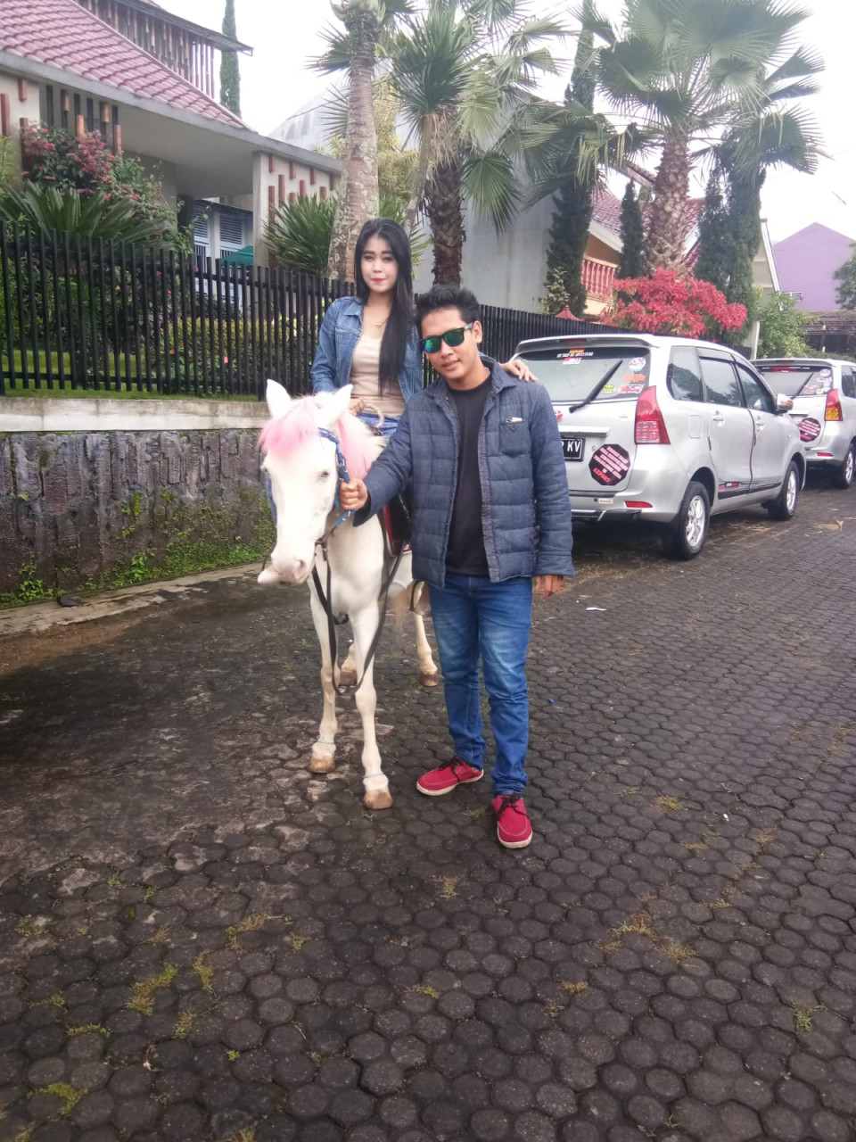 239846-gallery-YKUYY3ebEE.jpg