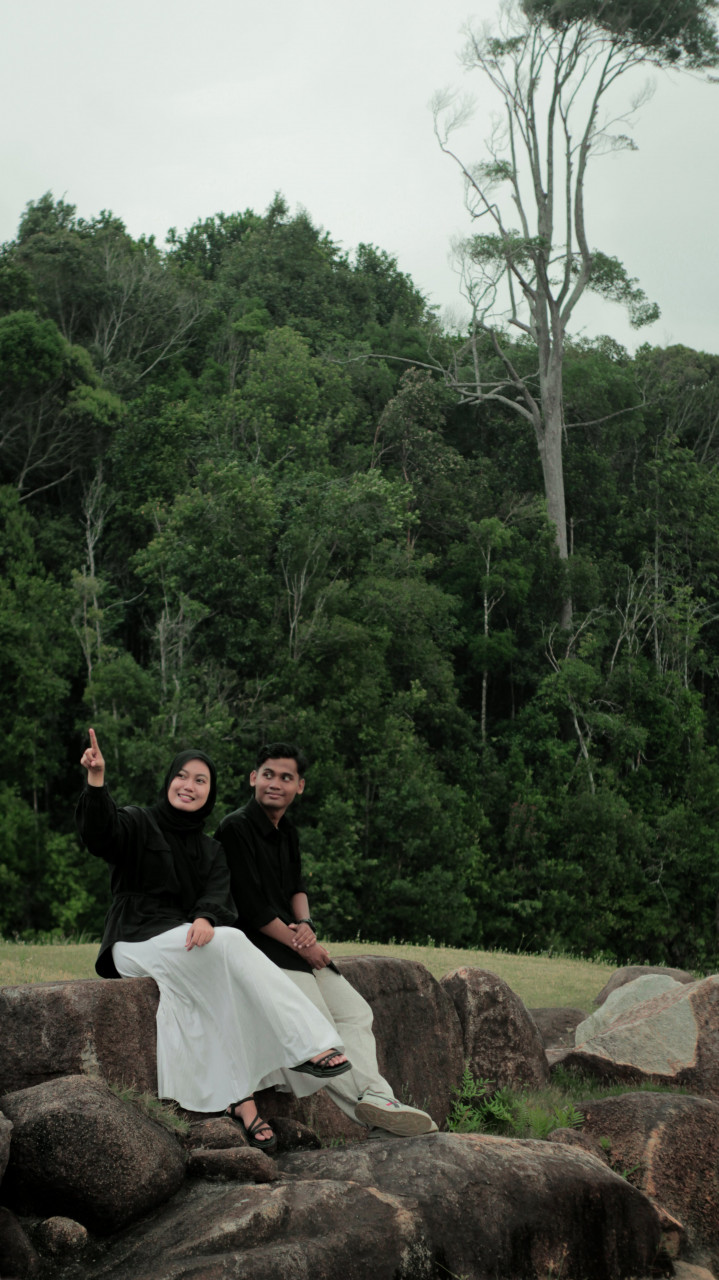 241542-gallery-L50X3mfeXz.jpg