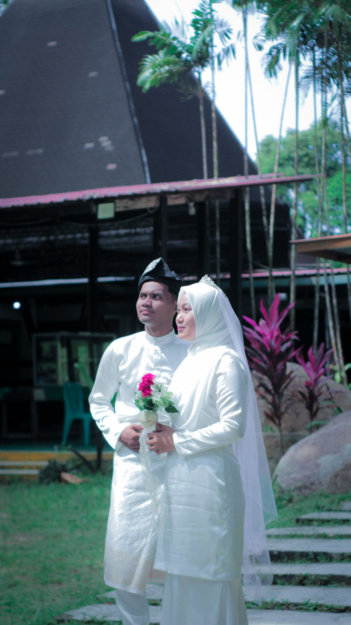 241542-gallery-nFhsPtKG46.jpg