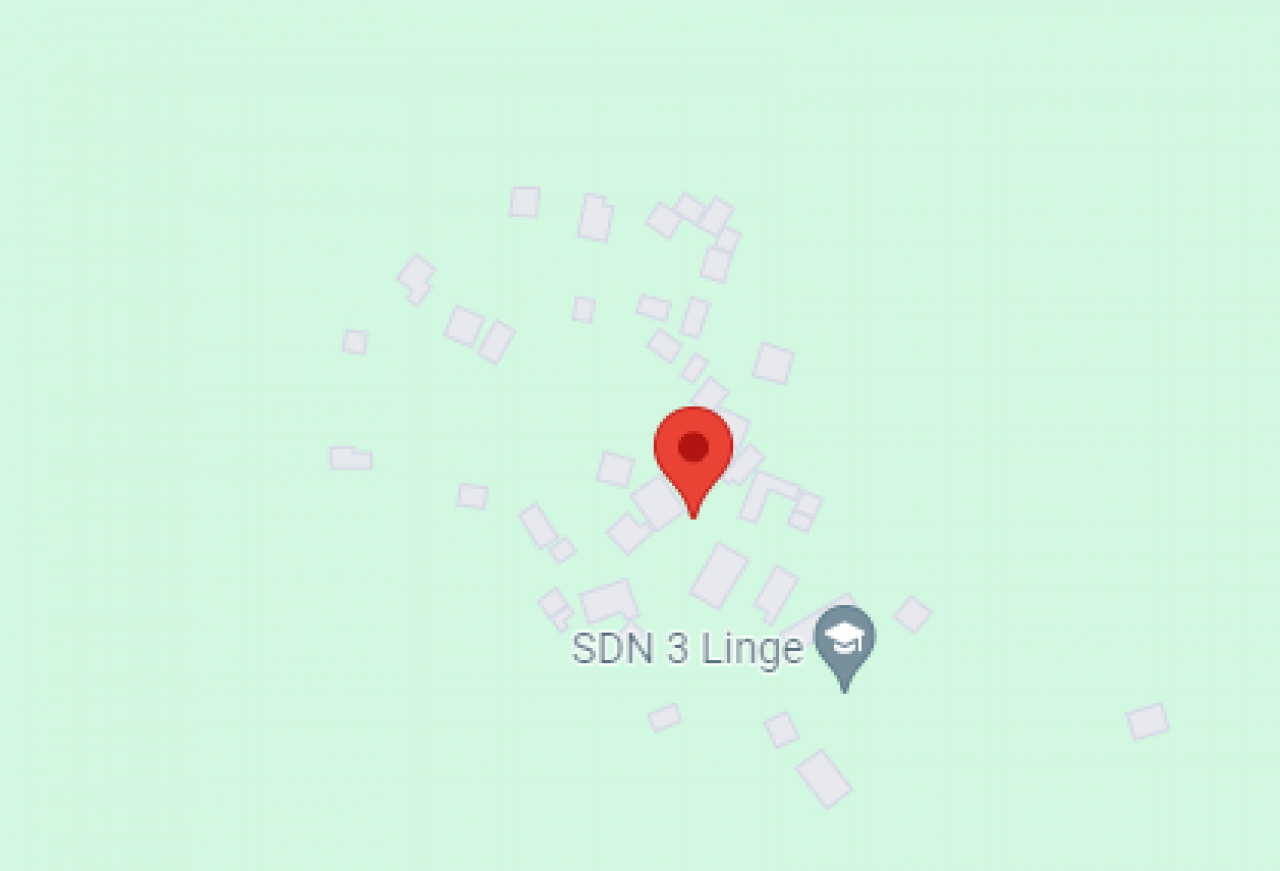 241668-gallery-de1gTQwfSV.png