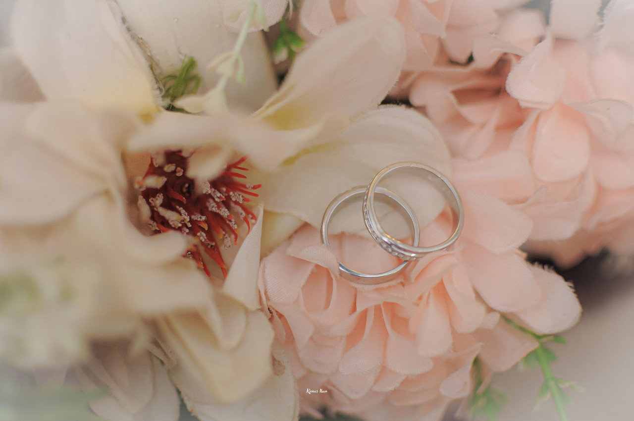 243115-gallery-ygjjFRIp8O.jpg