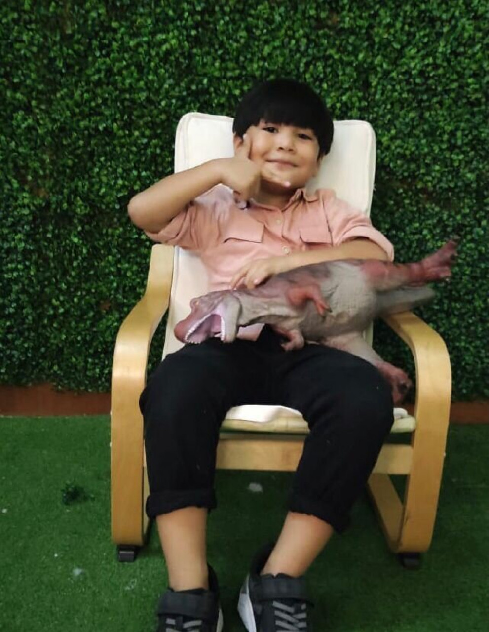 24809-gallery-1669366226.jpg