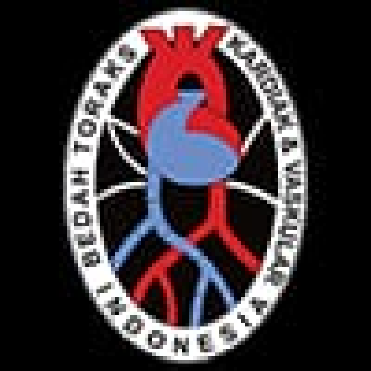255399-gallery-1pmsn6Y9xV.png
