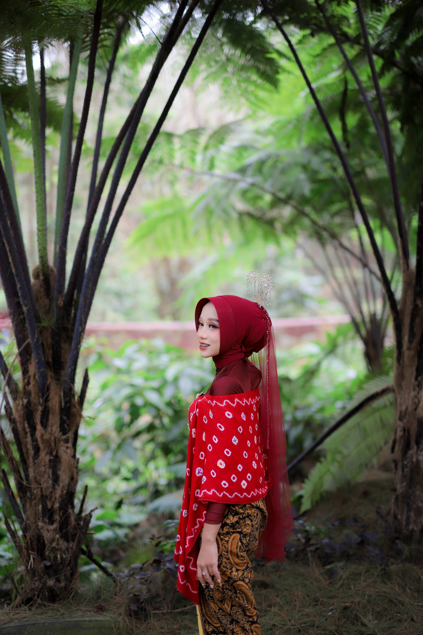 255443-gallery-Gm1bFlVECb.jpg