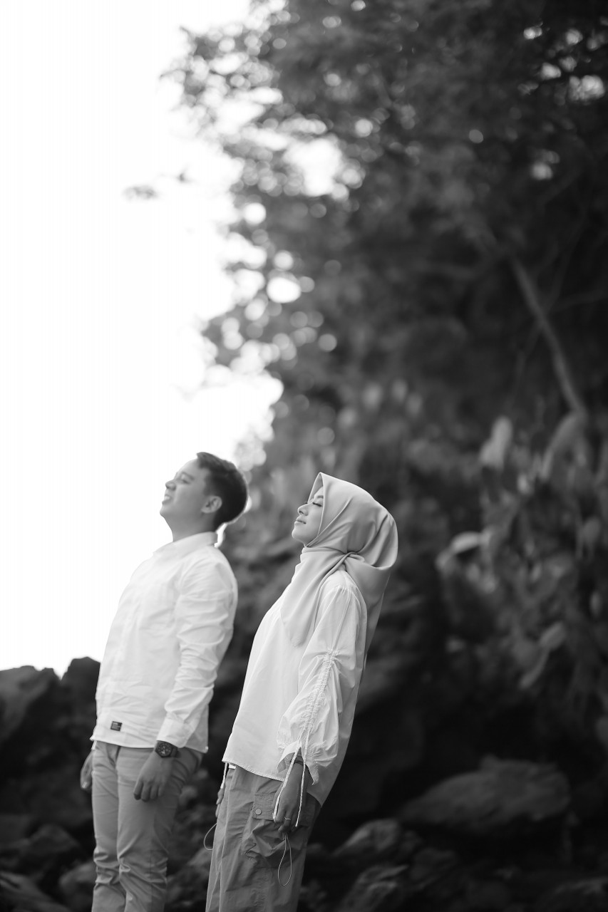 256509-gallery-Cxc77KdcVT.jpg