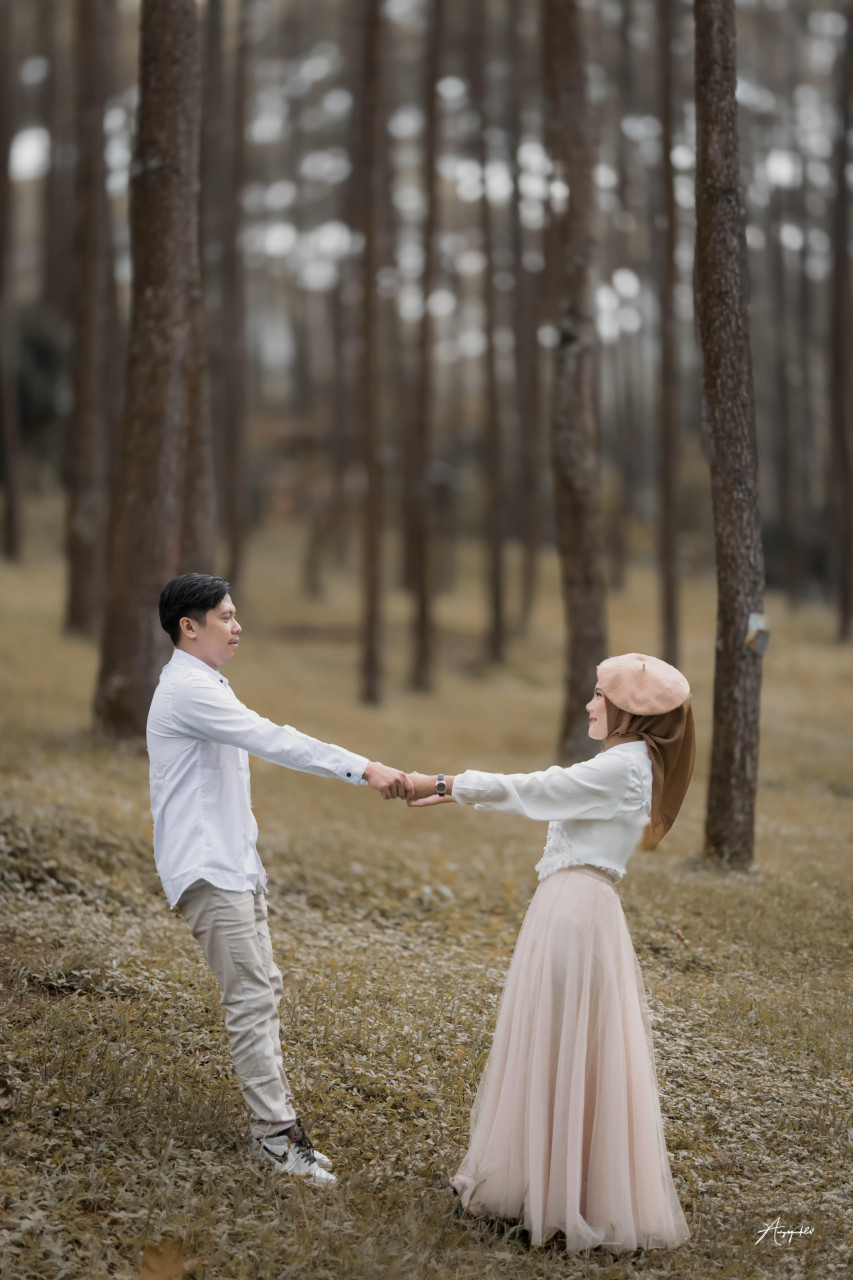 260769-gallery-z4rz7gGwH8.jpg