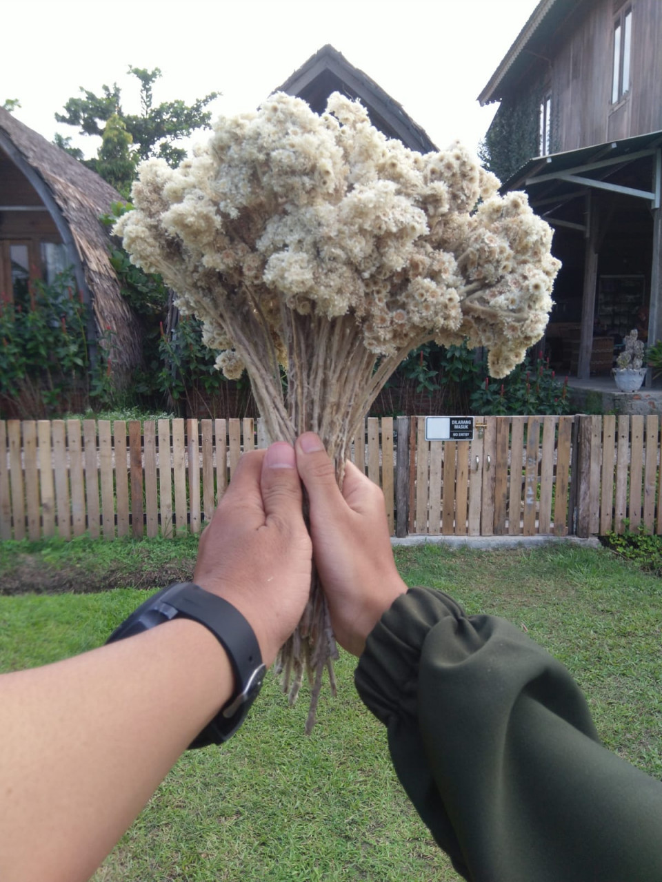 276378-gallery-KD72fCLSlM.jpg