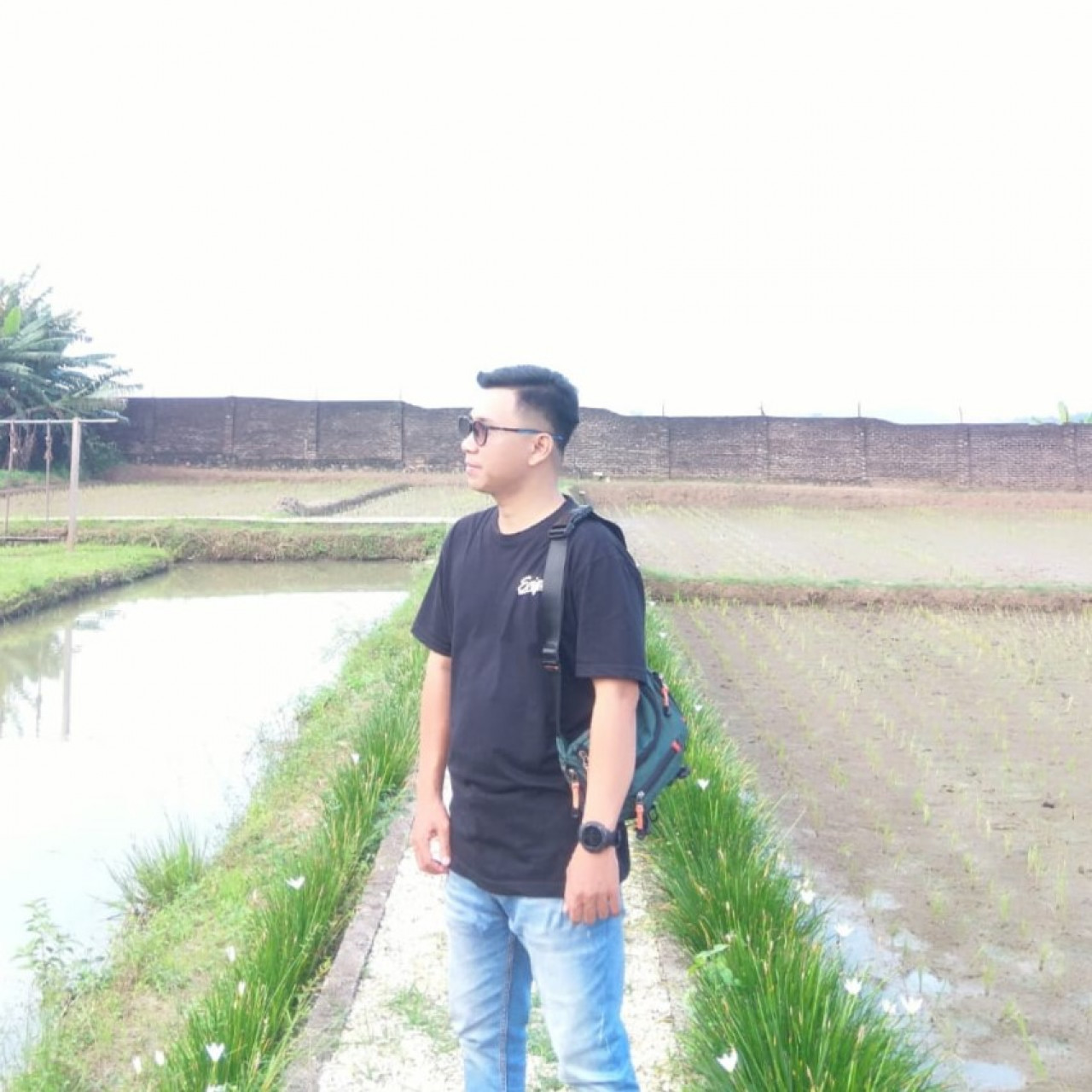 276378-gallery-MSGB8lfmLO.jpg