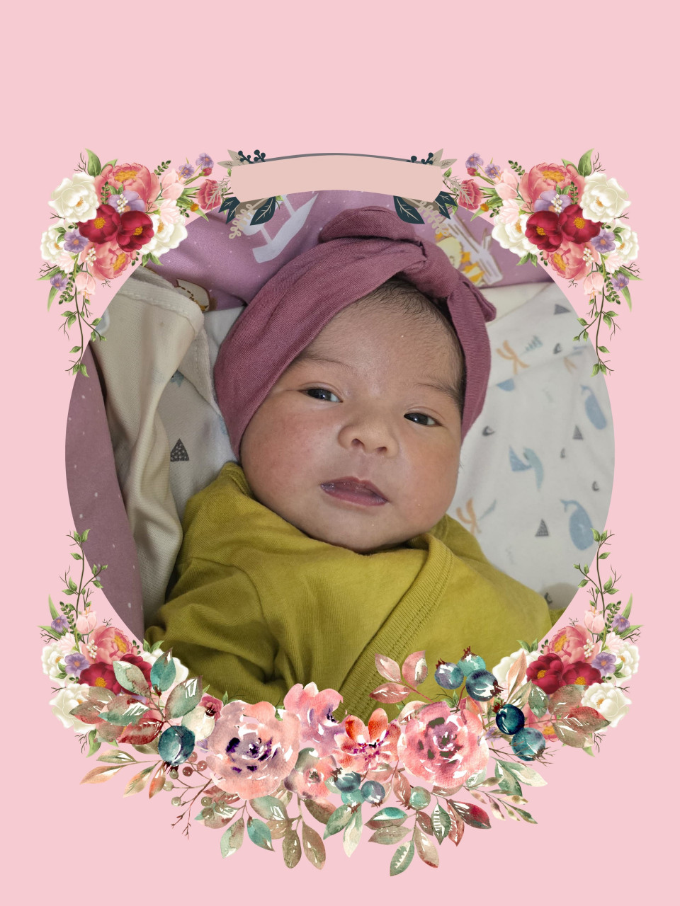 279299-gallery-H6GD3cpFA5.jpg