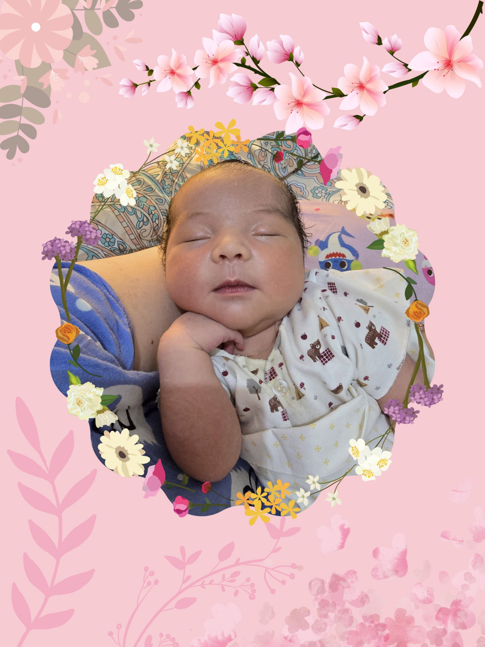 279299-gallery-fKu94qPtUz.jpg