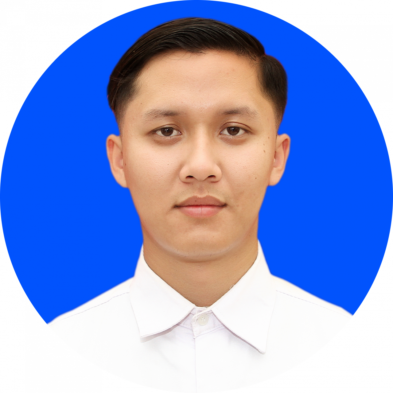290375-gallery-NQczns85rr.png