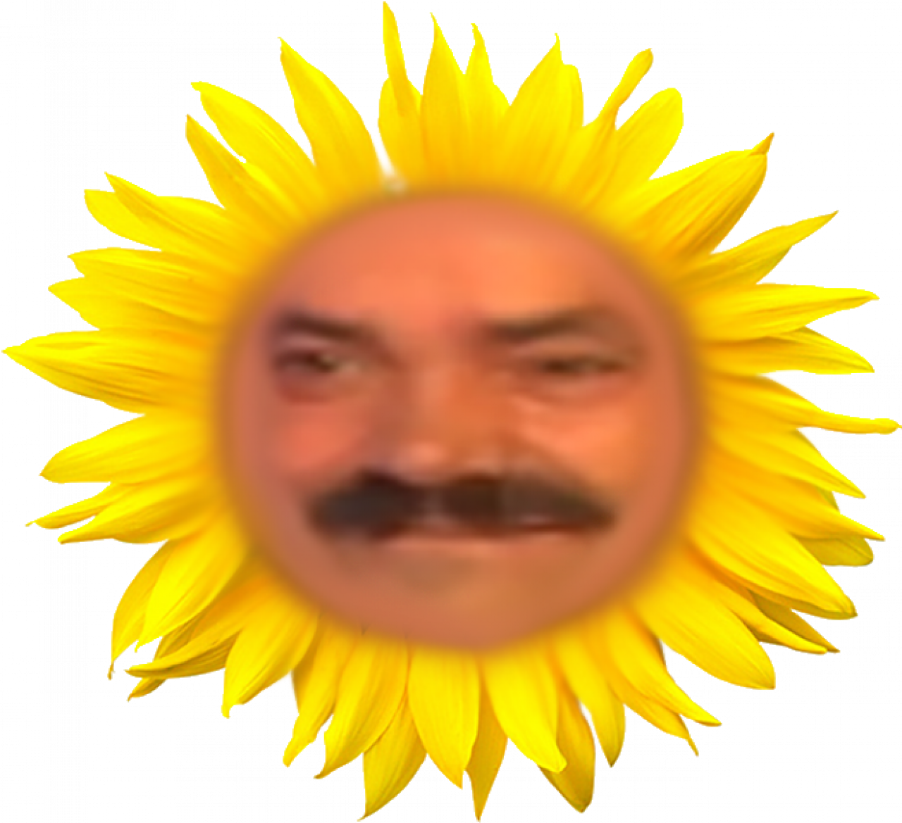 291388-gallery-IiPTLEpSWD.png