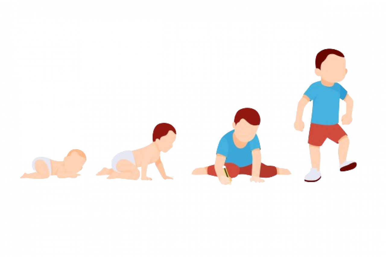 291388-gallery-ZYkmtIgpKD.png