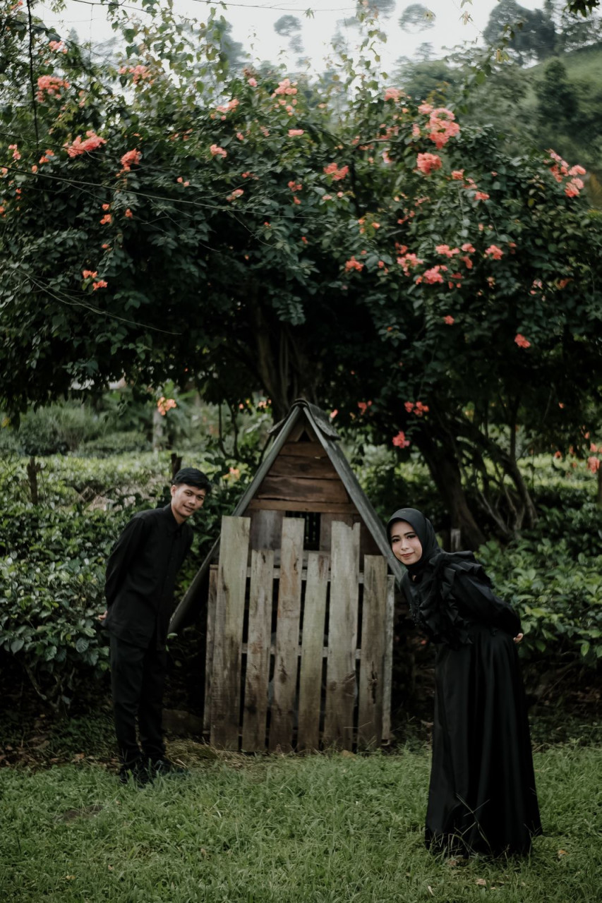 293538-gallery-rxoX8uINMv.jpg