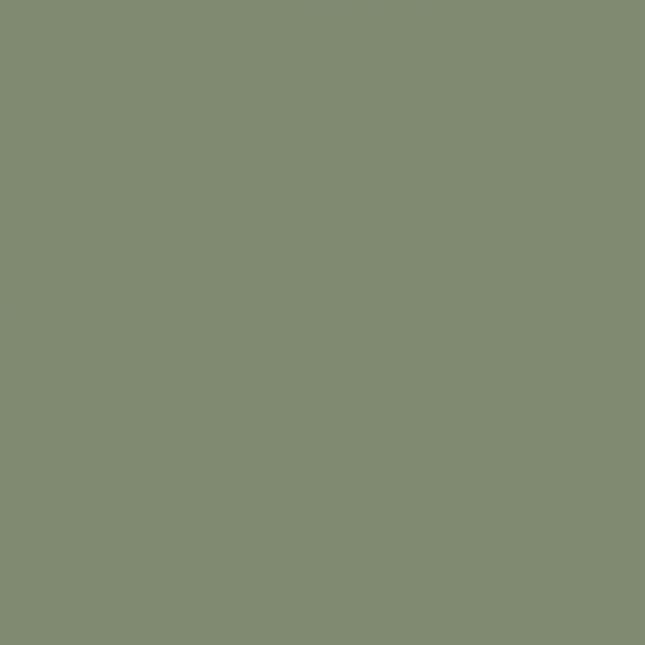 293921-gallery-qWrjaQtnpX.jpg