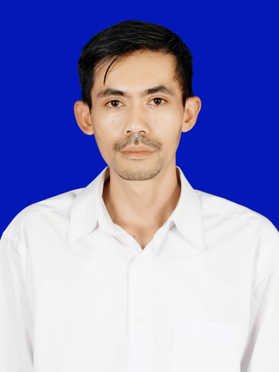 295340-gallery-jOPtHUErtc.jpg