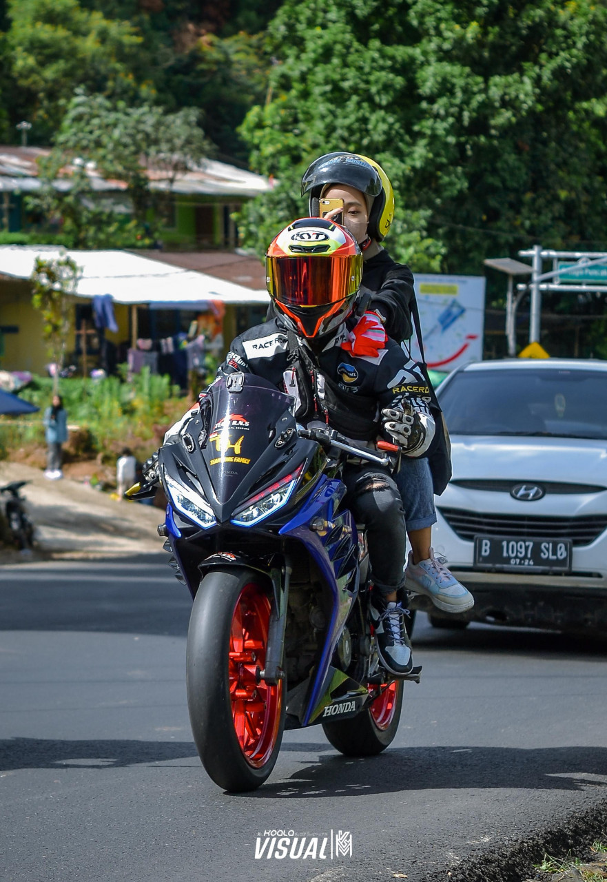 298554-gallery-b6cX3I7C4v.jpg