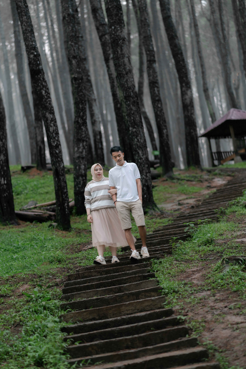 305511-gallery-brbZEWy6Lw.jpg