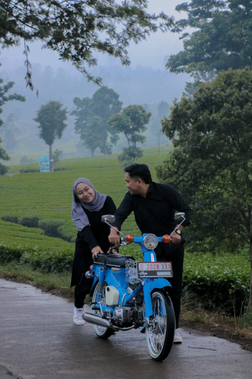 308298-gallery-vAfs9pVjJF.jpg