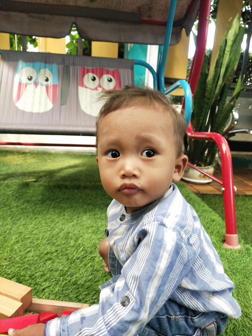 304911-gallery-XkBz4fHRWu.jpg