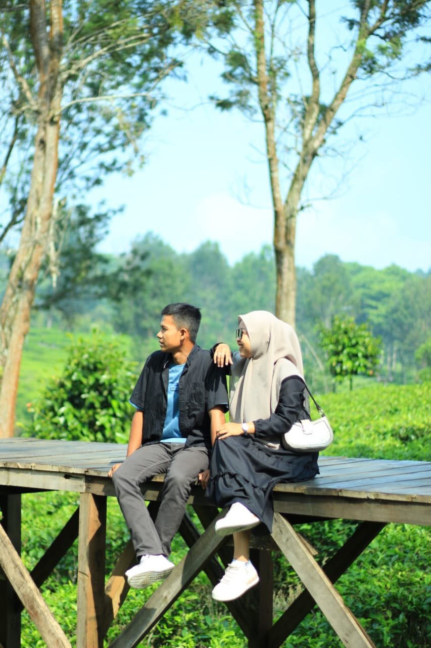 322961-gallery-lbQCJ03N7C.jpg