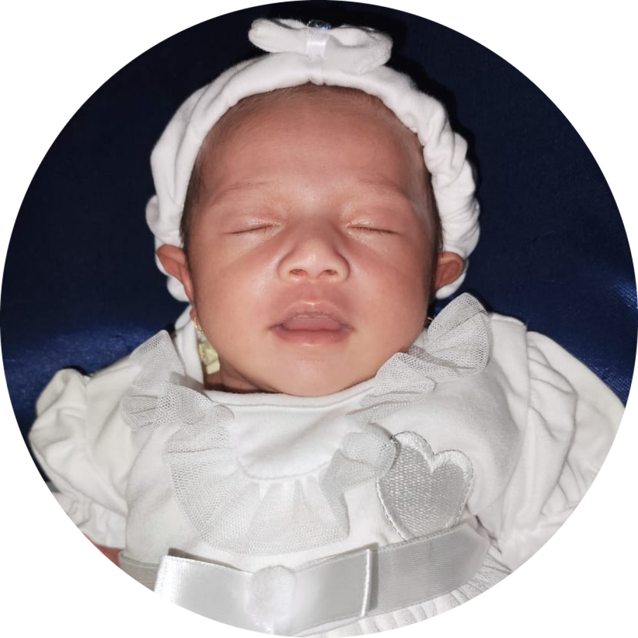 14074-gallery-1657368781.png
