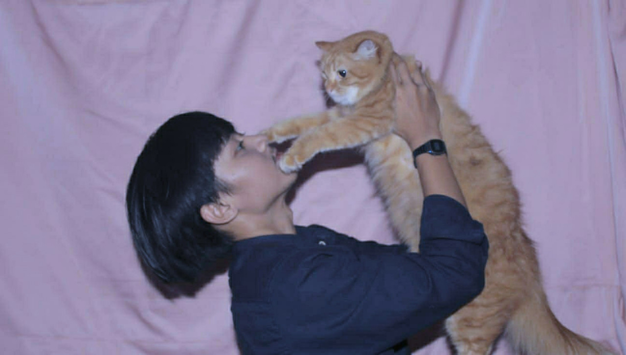 no-image.jpg