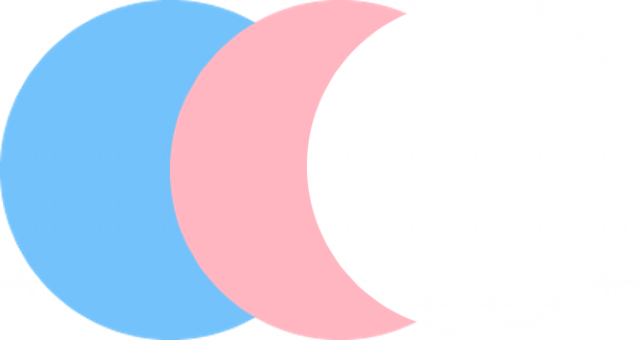 235208-gallery-HDoKkfOSD4.png