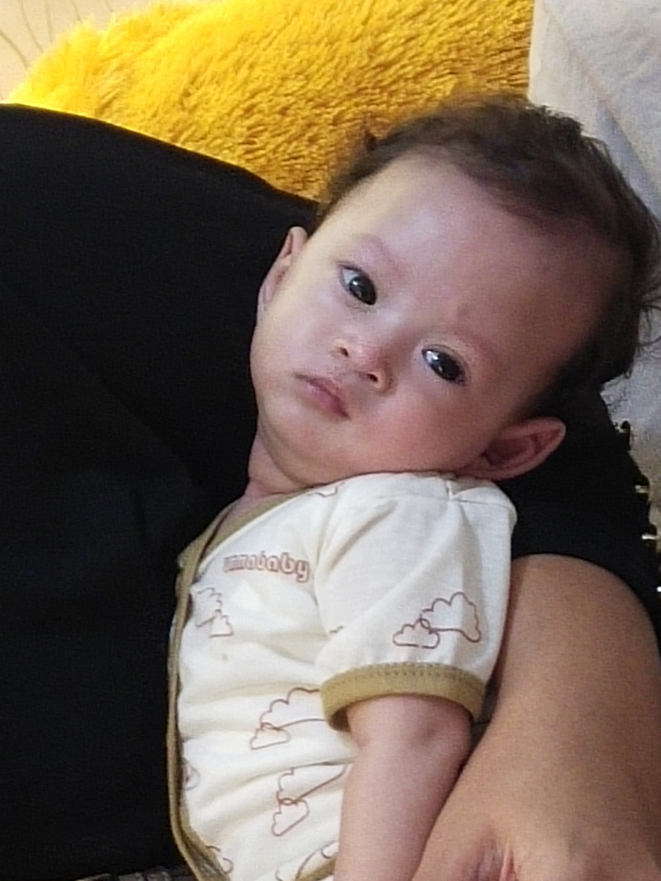 315950-gallery-Qk1tv26UsG.jpg