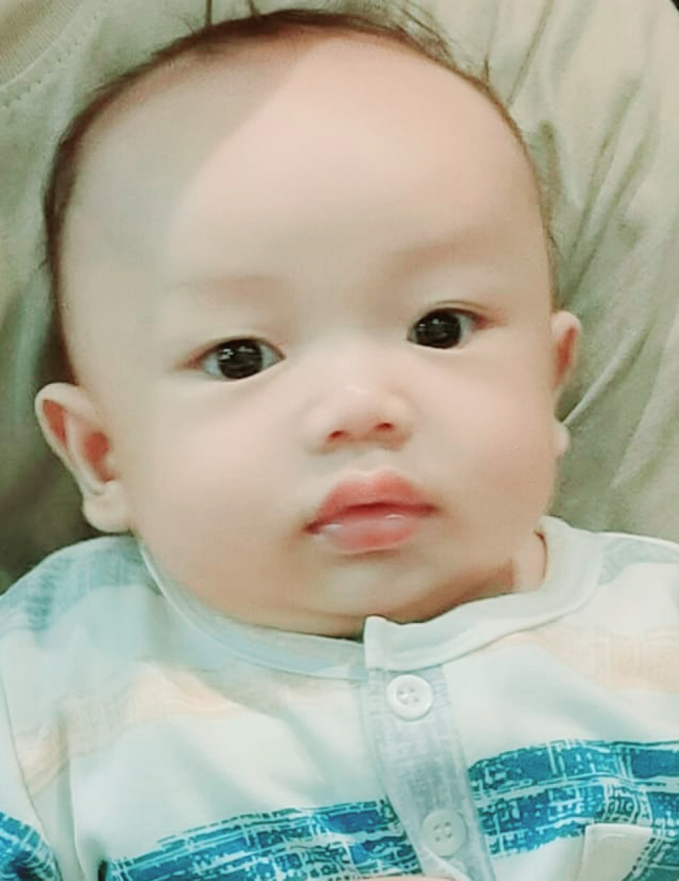 33662-gallery-1682846077.jpg