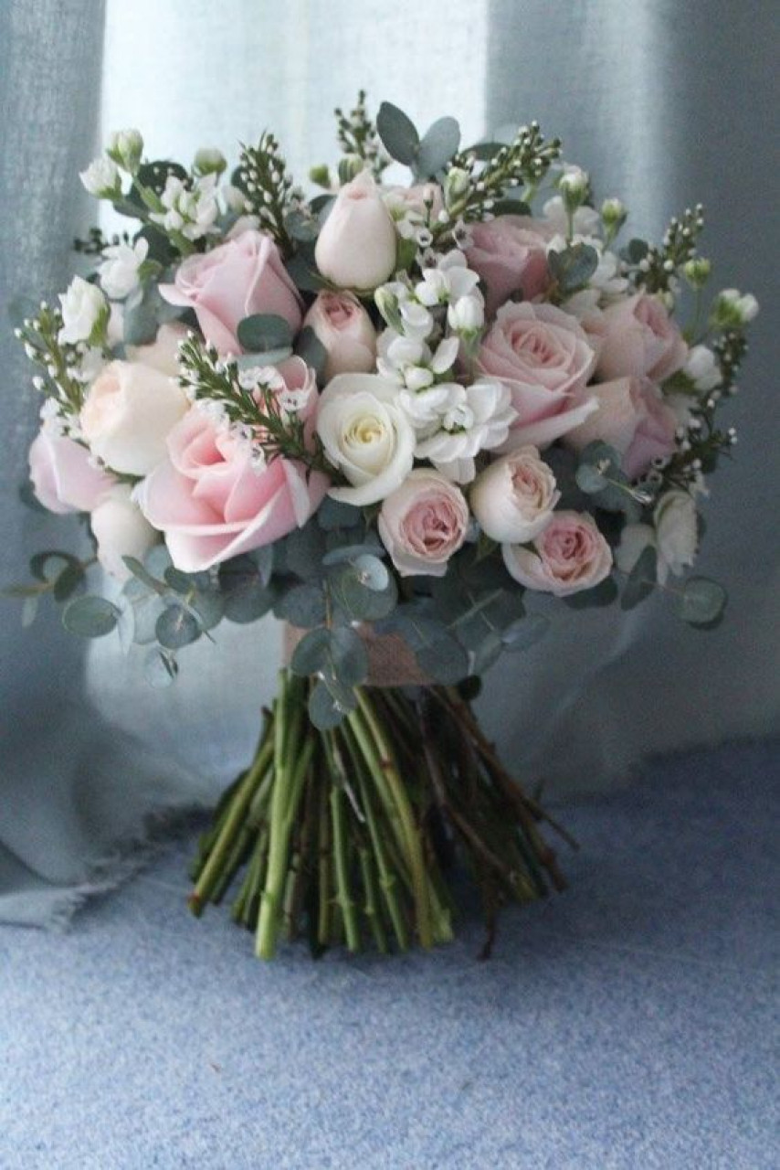 15847-gallery-1658425795.jpg