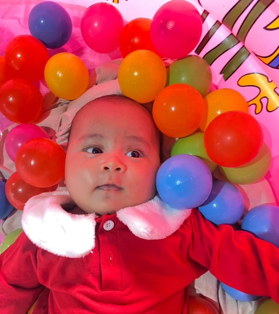 27259-gallery-1671952209.jpg