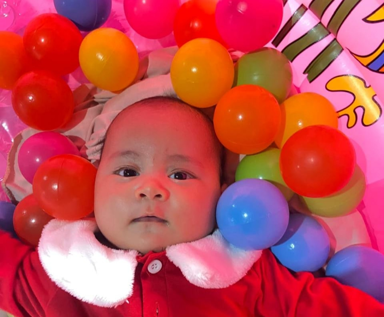 33886-gallery-1683075224.jpg