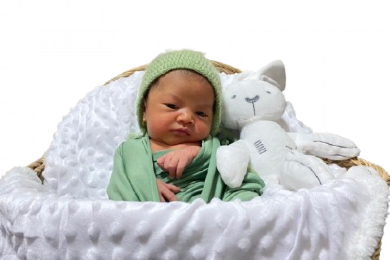 14074-gallery-1657368740.png