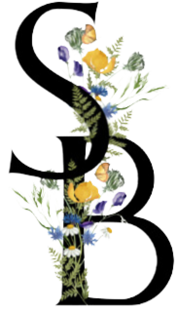 28299-gallery-1673629430.png