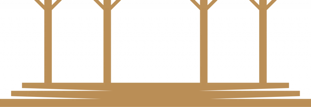 301467-gallery-FMgCPTNp2h.png