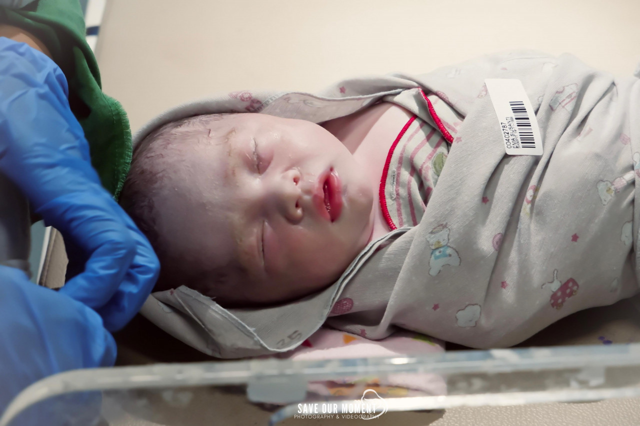 14074-gallery-1657368808.png