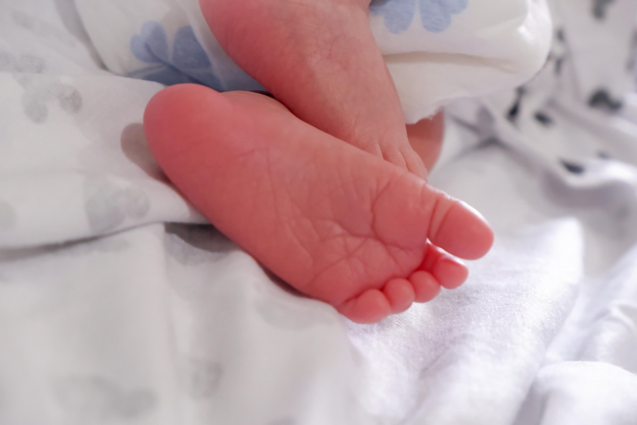 14074-gallery-1657368760.png